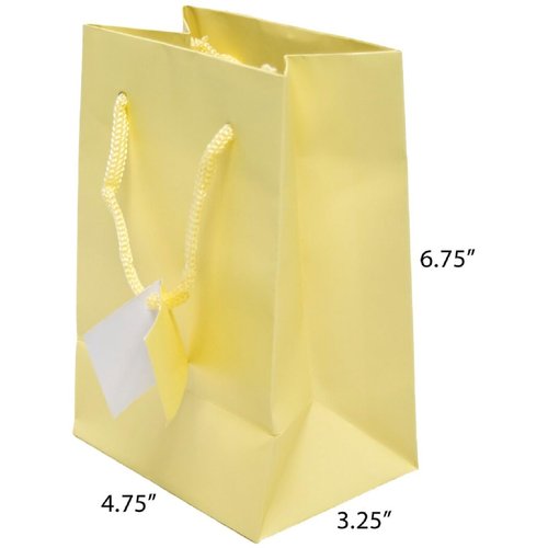 Novel Box Ivory Gift Bags with Handles 10 Pack Small Paper Bags - Shopping Bags Bulk Gift Bags Business, Shopping, Birthday Paper Shopping Bags - Shopping Bags for Groceries