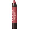 Burt's Bees 100% Natural Origin Moisturizing Matte Lip Crayon, Niagara Overlook - 1 Crayon