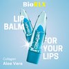 BioRLX Collagen with Aloe Vera Lip Balm (Six Lip Balms)