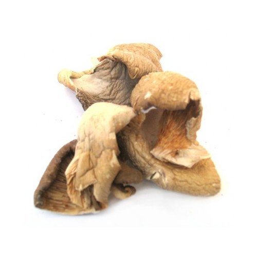 Dried Oyster Mushrooms - 4 oz. Life Gourmet Shop