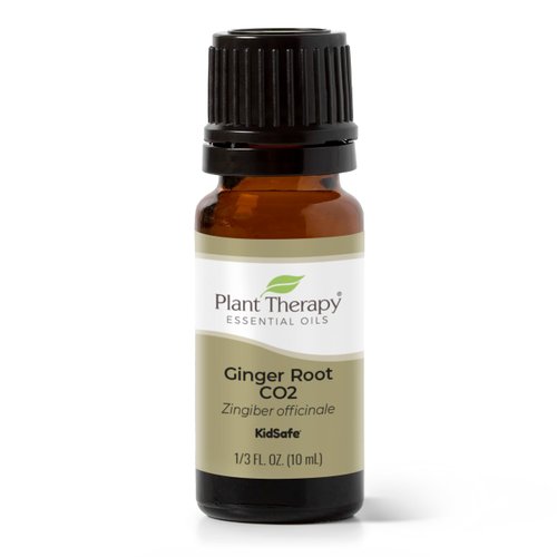 Plant Therapy Ginger Root CO2 Essential Oil 100% Pure, Undiluted, Natural Aromatherapy, Ginger Oil for Diffuser, Skin & Massage and Hair, Therapeutic Grade 10 mL (1/3 oz)