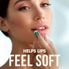 ChapStick Classic Spearmint Lip Balm – Cool & Refreshing, Moisturizing Lip Care for Dry, Cracked Lips, 0.15 Oz Ea