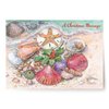 Designer Greetings Boxed Red Farm Studios Christmas Cards, Various Seashells with a Starfish and Holly (Box of 18 Nautical/Coastal Holiday Cards with White Envelopes),Sand & Seashells,125-00836-000