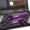 6.0 Inches Hair Cutting Scissors Set with Combs Lether Scissors Case,Hair cutting shears Hair Thinning shears For Personal and Professional (Voilet)