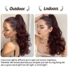 StrRid Pony Tail, Ponytail Extension Clip in Hair Extensions Ponytail Claw 20" Wavy Fake Hair Synthetic Ponytail Wig Daily Curly Pony Tail Blonde Black Hair Pieces for Women 6 oz-Burgundy