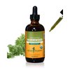 Herb Pharm Certified Organic Wormwood Liquid Extract for Digestive System Support - 4 Ounce