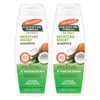 Palmers Coconut Oil Moisture Boost Shampoo 13.5 Ounce (400ml) (Pack of 2)