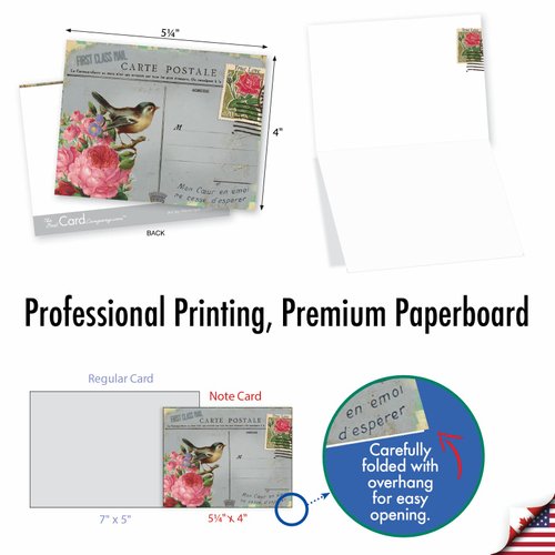 The Best Card Company 10 Assorted Thank You Notes Box Set 4 x 5.12 Inch with Envelopes (10 Designs, 1 Each) PARISIAN POSTCARDS: 10 Assorted Thank You Note Cards. M2355TYG