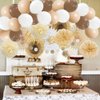 Brown Beige Birthday Party Decorations Paper Fans Cream Brown Birthday Decorations White Brown and Beige Balloon Garland Kit Boho Birthday Party Decorations for Women Girls with Birthday Cake Topper