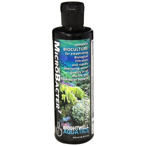 Brightwell Aquatics MicroBacter7 - Bacteria & Water Conditioner for Fish Tank or Aquarium, Populates Biological Filter Media for Saltwater and Freshwater Fish 250ml