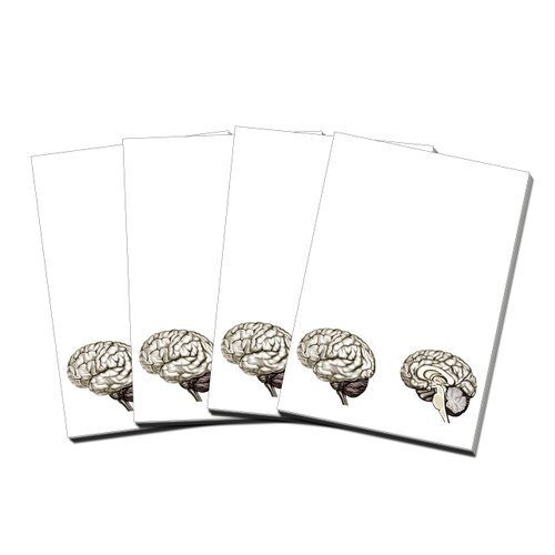 Brain Note Pad-memo Pad-notebook-100sheets-4pc in One Package