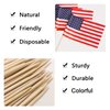 BLUE TOP 100 Pcs USA American Flag Toothpick Flags,Small Toothpick Mini Stick Cupcake Toppers Olympic Games Celebration Party Decoration Celebration Cocktail picks for Party Bar Sport events.