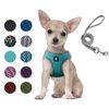 Dog and Cat Universal Harness with Leash - Cat Harness Escape Proof - Adjustable Reflective Step in Dog Harness for Small Dogs Medium Dogs - Soft Mesh Comfort Fit No Pull No Choke (XS, Lake Blue)
