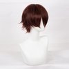 Swiking Mens Short Brown Wigs Women Fluffy Curly Hair Anime Cosplay Party Daily Costume Pixie Women Wig Unisex Full Wig(Brown)