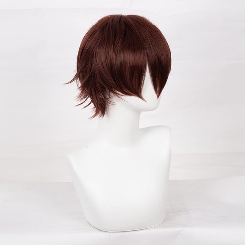 Swiking Mens Short Brown Wigs Women Fluffy Curly Hair Anime Cosplay Party Daily Costume Pixie Women Wig Unisex Full Wig(Brown)