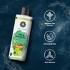 AYURVEDASHREE Amla Bhringraj Hair Oil 200 ml, 6.76 fl oz, with Amla Oil, Brahmi Oil, Methi Oil, Shikakai Oil, Neem Oil, Henna Oil, Pine Oil, Clove Oil…