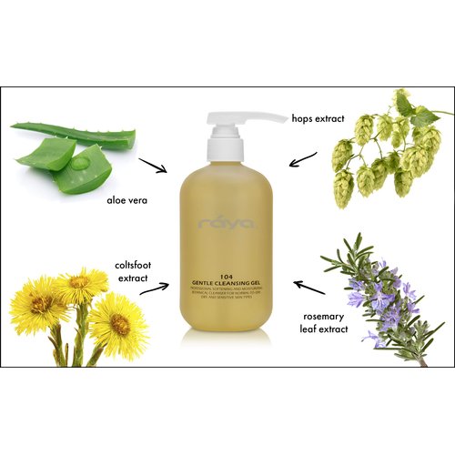 Raya Gentle Facial Cleansing Gel 16 oz (104) | Softening and Moisturizing Botanical Cleanser for Dry and Sensitive Skin| Helps Hydrate Smooth Complexion