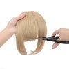 Cephermer Clip in Bangs, Synthetic Bangs Hair Clip Ash blonde mix Bleach Blonde