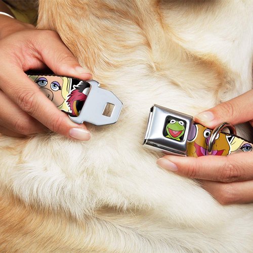 Dog Collar Seatbelt Buckle Muppets Faces Close Up Black 15 to 26 Inches 1.0 Inch Wide