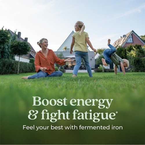 New Chapter Iron Supplement, Whole-Food Fermented Iron Complex Made with Organic Vegetables & Herbs + One Daily Non-Constipating Dose- 90ct, 3 Month Supply