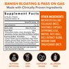 Zenwise Health No Bloat Digestive Enzymes for Gut Health, Gas & Bloating Relief - Multi Enzymes Digestion Supplement with Probiotics, Ginger, Turmeric Dandelion & Lactase - Men & Women - 60 Count