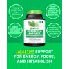 Zenwise Health Green Tea Extract with EGCG & Green Coffee Bean - Antioxidant & Immune Supplement –Metabolism Support + Heart & Brain Health+Memory Boost - 120 Count