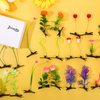 30 Pcs Bean Sprout Hair Clips Mixed Style Plant Hairpins Flower Plant Hair Clip Little Grass Barrette Butterfly Headwear Hair Accessories for Women Girl School Home Party Christmas (Plant Style)