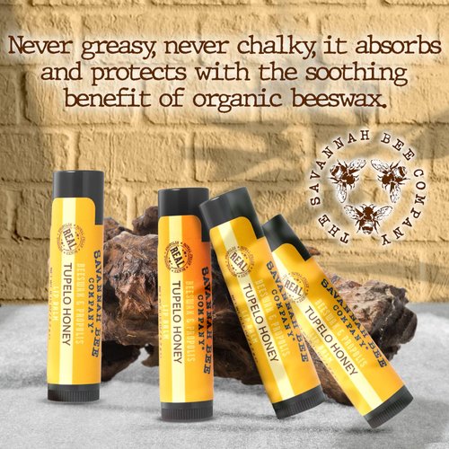 Savannah Bee Company Natural - Tupelo Honey Beeswax Lip Balm, 0.15-Ounce (Pack of 4)