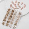 HNUIX Nail Rhinestones - 2920pcs 3D Multi Shape Size Crystal, Champagne Gold Nail Gems, Flat Back, with Kit, for Nail Art, DIY Decorations