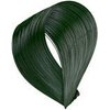 G & C Hair Color (Green)