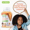 Kids Vitamin C Gummies with Echinacea - Immune Support for Kids, Toddlers, & Teens - Vegan, Gelatin Free, Gluten Free, GMO Free - Tasty Chewable Orange Flavored Kids Immunity Gummy