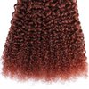 Reddish Brown Curly Weave Human Hair Bundles Color 33 Human Hair Copper Red Brown Kinky Curly Bundles Double Weft Remy Hair Extensions Wet and Wavy Bundles Silky and Soft 26 28 30 Inch