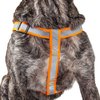 Pet Life ® Durable 3M Reflective 2-in-1 Extra Long Pet Leash and Adjustable Dog Harness - Features Thick-Grade Interlocked Reflective Stitching Around Dog Leash for Complete Safety and Durability