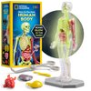 National Geographic Human Body Model for Kids That Glows in The Dark - 32-Piece Interactive Anatomy Model with Bones, Organs, Muscles, Science Kit Stocking Stuffer, Anatomy & Physiology Study Tools