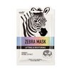 Character Masks (Zebra 6pk)