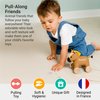 Little Big Friends Pull Along Friends | Pull Along Toy for Baby | Traditional Toys | Easy to Clean | Charles The Horse