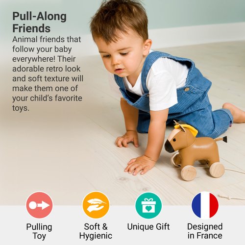 Little Big Friends Pull Along Friends | Pull Along Toy for Baby | Traditional Toys | Easy to Clean | Charles The Horse