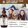 Turkey Tail Mushroom for Dogs, Mushroom Blend, Turmeric & Probiotic for Immune, Digestive & Joint Support, Turkey Tail for Dogs, 60ml