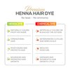 Parallel Products Spot Color Henna Kit - Henna Hair Dye - 3 grams - Tint for Professional Spot Coloring - With Mixing Dish - Covers Grey Hair - Root Touch Up (Dark Brown)