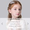 Jakawin Rhinestone Wedding Hair Comb Crystal Flower Girls Headpiece Bridal Tiara Combs Crown Birthday Gift (Sliver)