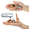 Toymany 14PCS 1-2" Tiny Jungle Animal Figures Toy, Realistic Mini Jungle Zoo Animal Figurines Cake Topper Toy Set, Easter Egg Christmas Birthday Gift Party Favor School Project for Kids Toddlers