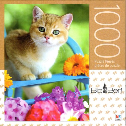 Kitten on Blue Chair 1000 Piece Puzzle