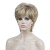 Aimole Short Layered Straight Wigs Synthetic Women's Wig Full Hair (H16-613)