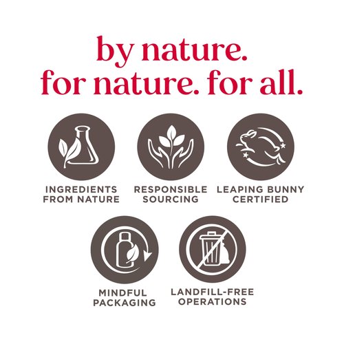 Burt's Bees, Body Lotion with Milk and Honey, Moisturizing Lotion for Normal to Dry Skin, 98.6% Natural Origin Skin Care, 6 oz Bottle (3-Pack)