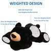 Hronsa Weighted Stuffed Animals, Weighted Bear Stuffed Animal Toy Cute Black Bear Plush Pillow for Adults Boys Girls, 11.8in