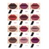 MAEPEOR Matte Lip Liner 12 PCS Nude Brown Series Highly Pigmented and Smoothly Velvet Lipliner Pencil Set Long Lasting and Waterproof Durable Lip Liners (12PCS-1)
