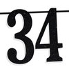 Black Glitter Look at You Turning 34 & Shit Banner, Happy 34th Birthday/Level 34 Unlocked/Cheers to 34 Years, Funny 34th Birthday Party Decorations Supplies