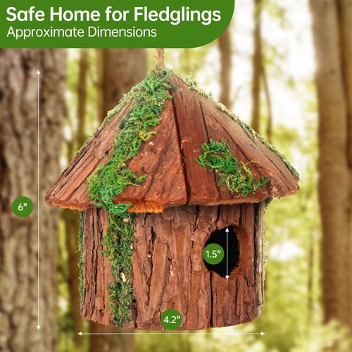 Premium Wooden Bird House, Cedarwood Hanging Birdhouse with Predator Guard, Nesting Box for Wild Bird Viewing, Indoor Decorative or Outdoor Functional Use, Ideal for Birdwatchers, Small