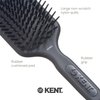 Kent AH8G Airhedz Cushion Paddle Brush - Hair Detangler and Growth Stimulator for Thick, Curly Hair