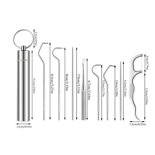 Toothpicks Pocket Set, Dental Floss Picks Kit Reusable, Stainless Steel Teeth Cleaning Tools, Tooth Picker Oral Hygiene Travel (2 Set)